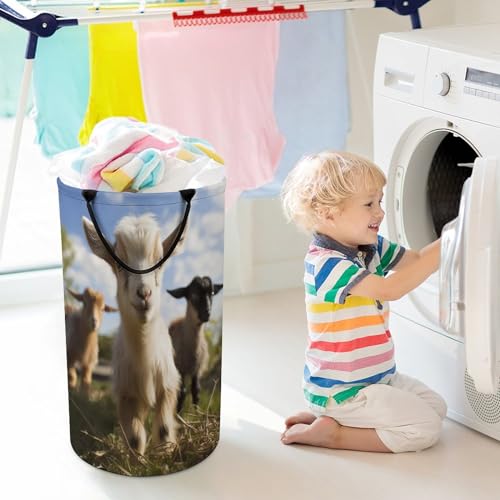 Panier à linge pliable chèvre pour optimiser l'espace du placard