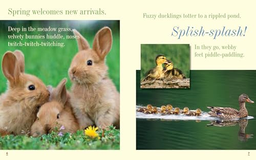 Everything Spring (Picture the Seasons) - Thumbnail 2
