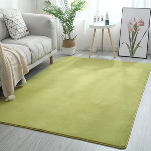 Tapis de salon antidérapant molleton de corail insonorisé maison - 2