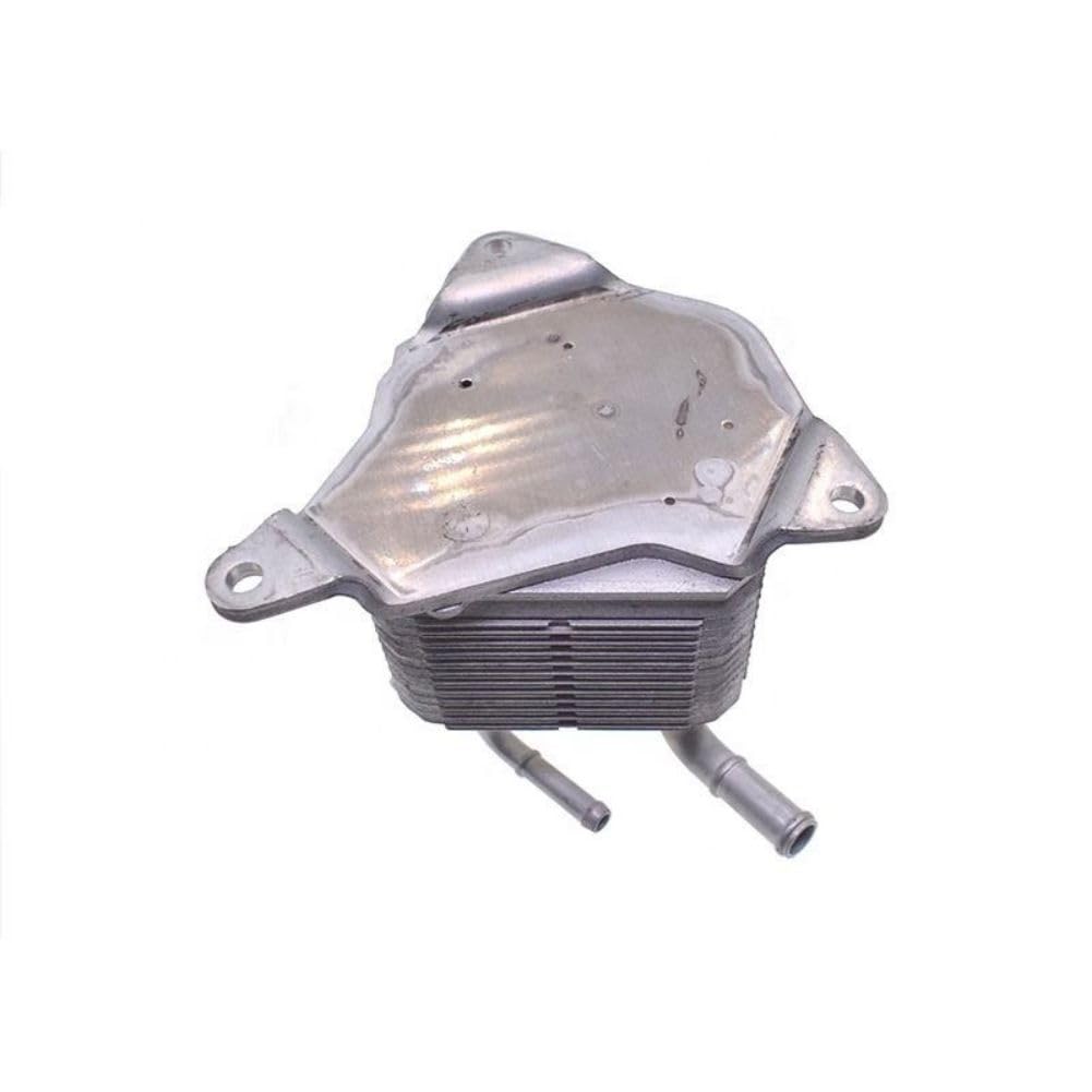 1 PC/Set of 21606-X481A INTERCOOLER (MOLEI-AUTO)