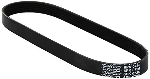 Dayco 6Pk736 Cinghia Poly-V Com.A.S Nissan Bluebird