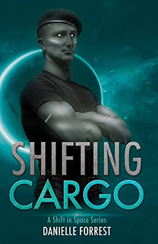 Shifting Cargo view 2