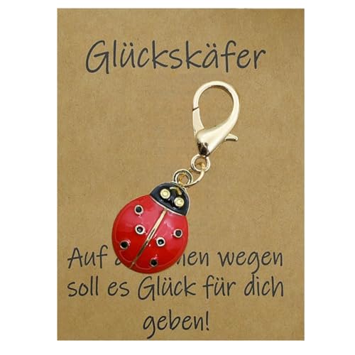 Marienkäfer Anhänger Klein Schlüsselanhänger Rot Ladybug Charme mit Grußkarte Silvester Glücksbringer Weihnachten Geschenke Deko für DIY Halskette Schlüsselbund Neujahrsgeschenke für Familie Freund