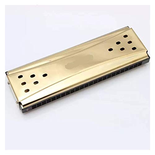BBCCSHW Jouer-LXB Harmonica Tremolo diatoniques 10 24 Trous Mouth Organ Blues Instrument Harpe Deux côtés clé C G Instruments de Musique L-xb (Color : Golden 24 Holes)