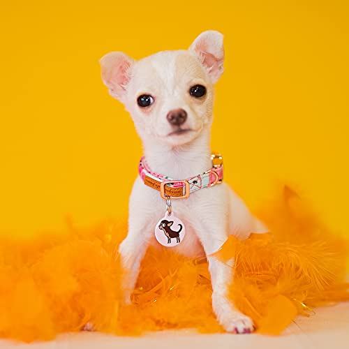 Dog Tag Art Chihuahua Girl Personalized Custom Pet ID Tag - Small4