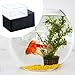 Auto Fish Food Dispenser Auto Food Dispenser for Round Tank Lightweight Accessories Gifts Easy Installation Sturdy Supplies, 160 ml