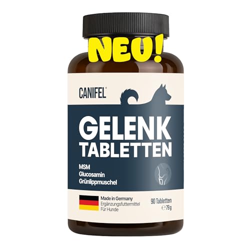 Gelenktabletten Hund – 90 Stück reicht bis zu 6 Monate – Doppelte Expertise: von Apothekern entwickelt & Tierärzten geprüft, Grünlippmuschel hochdosiert, Glucosamin, MSM & Chondroitin – Probierpreis