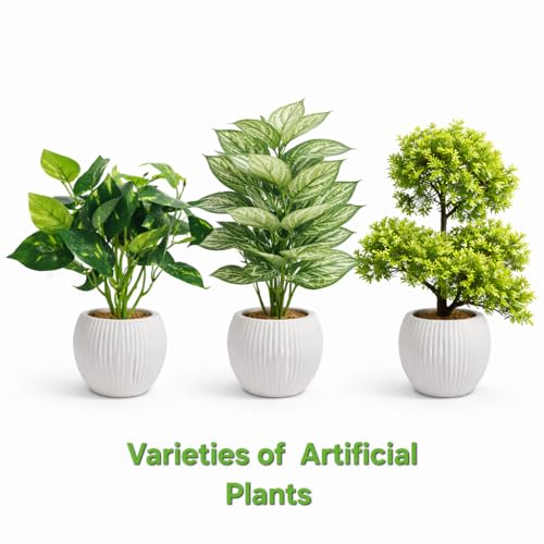 Image of Artificial Boxwood Topiary Bonsai with Ripped Pot, Decorative Indoor Faux Plant for Living Room, Home, Office, Tabletop, L1 (Pack of 1)