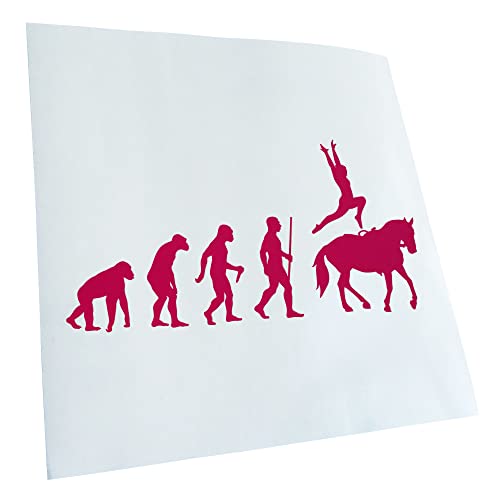 Kiwistar - Autocollant - Evolution pour dressage - pink - G24 - Pour voitures, vélos, véhicules, motos, cyclomoteurs, tuning, vitres arrière