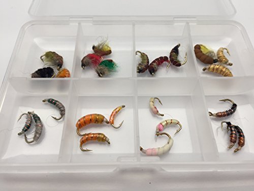 Lot de 24 nymphes tchèques pour Pêche à la Mouche Fil en cuivre Taille 10-14#321 Cover