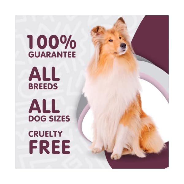 waggedy Advanced Probiotic & Enzymes Healthy Gut — Digestive Enzymes w/ Papaya — Probiotic Powder — Dog Supplements — Products for Dogs – Food Topper, Powder (114g) waggedy Advanced Probiotic & Enzymes Healthy Gut — Digestive Enzymes w/ Papaya — Probiotic Powder — Dog Supplements — Products for Dogs – Food Topper, Powder (114g)