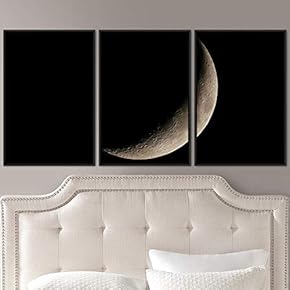 signwin 3 Piece Framed Canvas Wall Art Lunar...