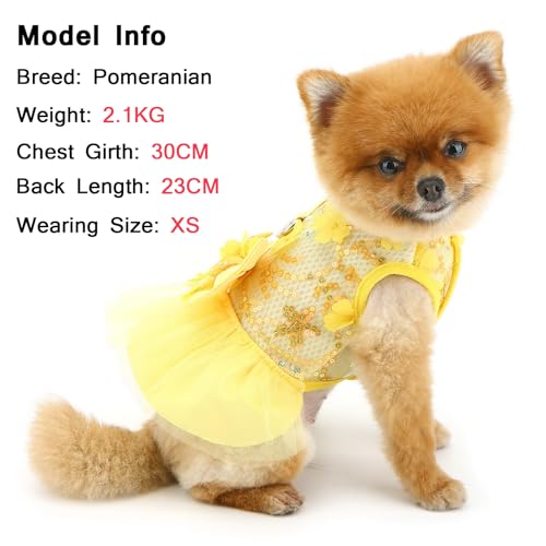 SMALLLEE_LUCKY_STORE Vestidos florais para cães pequenos e meninas com anel D e laço primavera verão