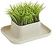 Kikkerland Potted Pen Phone Stand (SC25)