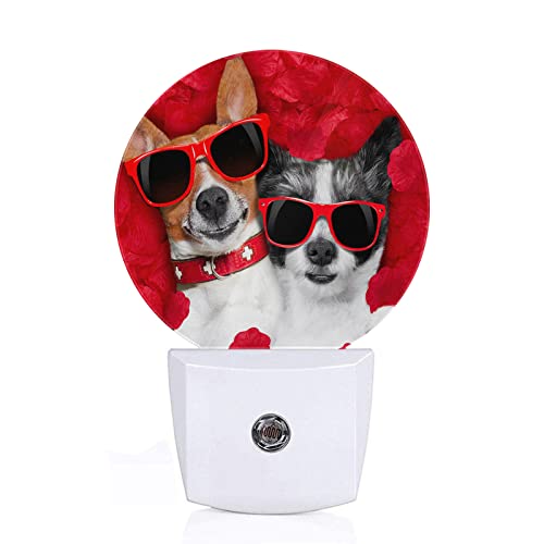 Axayaz Dogs Plug In Night Light Dog Couple With Sunglasses In Red Rose Flower Petals On Valentine's Day Auto Led Lamp Energy Saving Round Lights For Boys Girls Men Women #TOP7