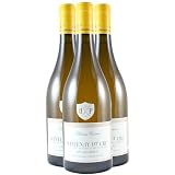 Santenay 1er Cru Les Gravières bianco 2013 - Maison Henri Pion - DOP - Borgogna - Francia - Vitigni Chardonnay - 3x75cl