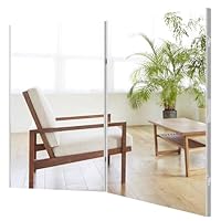 Amazon.co.jp: Lalaspace ダンスミラー 割れない 160cm 180度展開 姿見