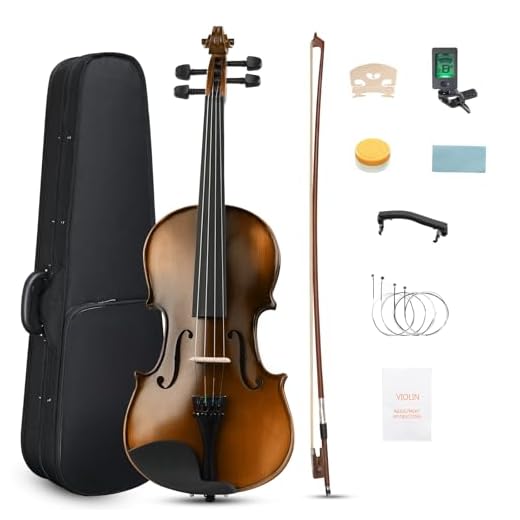 Ktaxon 4/4 Full Size Violin Solid Spruce Wood Premium Ebony Fitting Matte