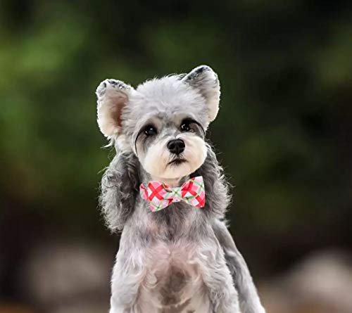 Lionet Paws Christmas Dog Collar With Bowtie Durable Adjustable Handmade Comfortable Bow Tie Dog Collar Cat Collar With Metal Buckle For Medium Dogs,Party,Festival,Holiday Style,Neck 13.5-22In #TOP3