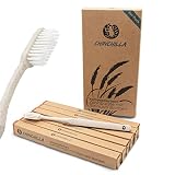 Chinchilla Nachhaltige Zahnbürsten | 6er-Pack | biologisch abbaubar, vegan & BPA frei | Alternative zu Bambus Zahnbürste, Zahnbürste aus Plastik, Holz Zahnbürste | für gesunde & weiße Zähne, Beige