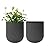 La Jolie Maison Wall Hanging Planters for Indoor Plants?Hanging Flower Pots for Air Plants Succulent, Set of 2, 6 Inch, Concrete Gray