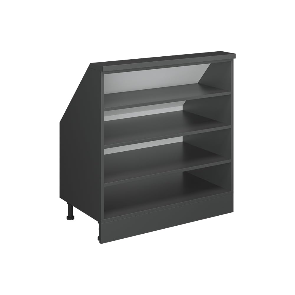 Vicco Meuble de Rangement sous Pente Rion, Anthracite/Anthracite, L80 x P46 cm avec 4 Compartiments, Gain de Place pour Les pièces mansardées