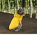Selena Dog Frog Costumes with Hoodies Kawaii Sweatshirt Cute Puppy Cat Clothes Outfits Pet Apparel (Small,Yellow)