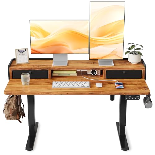 Adjustable Electric Desk with Storage Shelf