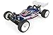 Team Associated 1/10 RC10B6.1DL 2WD Electric Buggy Team Kit Limited Edition, ASC90021L