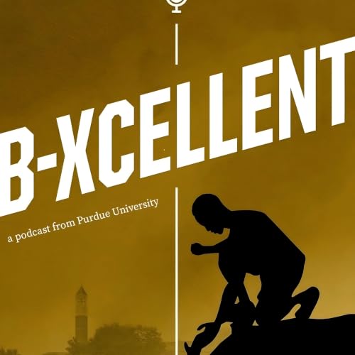 The B-Xcellent Podcast cover art