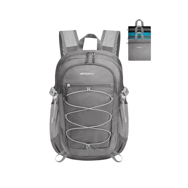 WATERFLY Small Lightweight Packable Backpack: 15L Mini Ultra Light Foldable Travel Daypack with Breathable Shoulder Strap Outdoor Hiking Camping Day Pack for Women Men Gray