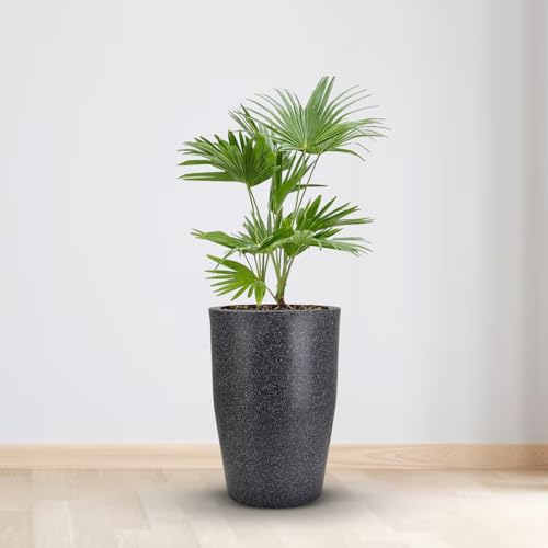 Image of BonKaso 12 inch Dark Grey Pot - Tall, Durable & Lightweight Polymer Round Tower Planter for Indoor & Outdoor Use: Home, Office, Garden & Balcony (Gamla /Gamale)