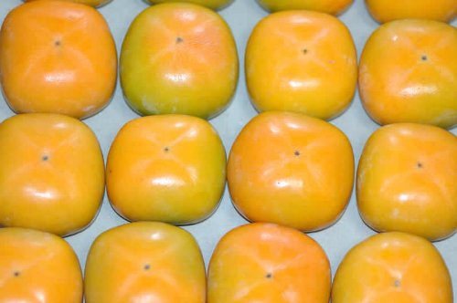 Amazon.co.jp: 産地厳選 柿 種なし柿 約7.5kg 28～32個 2L～3Lサイズ