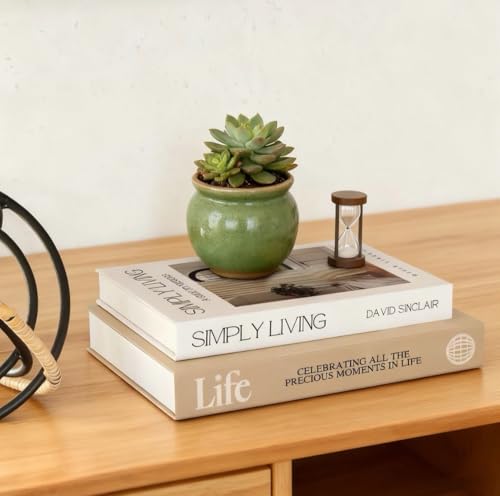 Xydedoing Decorative Books for Home Decor,2 Pcs Modern Minimalist Faux Book for Home Decoration,Coffee Table Decor,Living Room Aesthetic Accent - Image 7