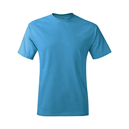 Hanes Men's 100% Cotton Crewneck Tagless T-Shirt, Sapphire, XXX-Large
