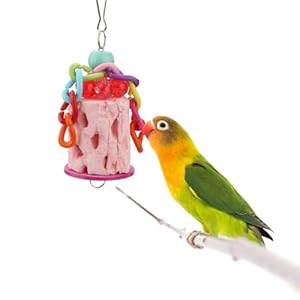 Hypeety Bird Chew Toy Calcium Teeth Grinding Chew Treats Toy for Hamster Bird Parrot African Grey Parakeets Cockatiels Conures Amazons Small Animal Cage Hanging Color Random
