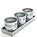 Hosley's Set of 3 Galvanized Planter w/Tray - 5" High