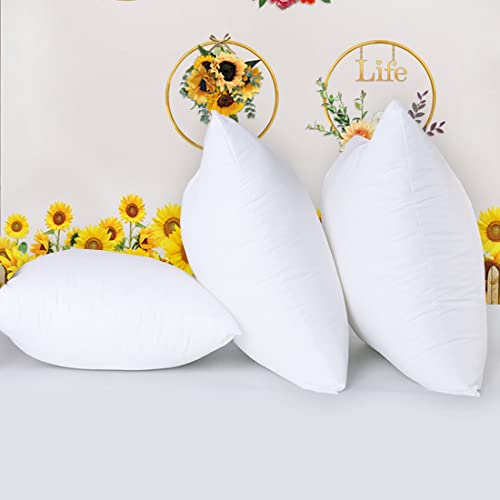 Adk Sky Throw Pillow Inserts, Hypoallergenic Square Form Decorative Throw Pillow Couch Cushion Stuffer Bed And Couch Pillows Indoor Decorative Pillows 20 X 20 Inches Set Of 4 #TOP4