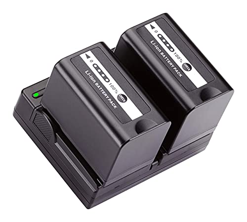Bm Premium 2 Vw-Vbd58 Batteries And Dual Bay Charger For Panasonic Ag-Vbr59, Bgh1, Hc-X1, Hc-X1500, Hc-X2000, Ag-Cx10, Ag-Cx350, Ag-Ux180, Ag-Ac30, Ag-Ux90, Ag-Dvx200, Hc-Mdh3E, Aj-Px270, Aj-Px230 #TOP6
