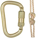 Ruqingg Klettern Carabiner 45kn Hochleistungsstahl Carabiner O-förmige automatische Sperrklammern großer Drehschlos