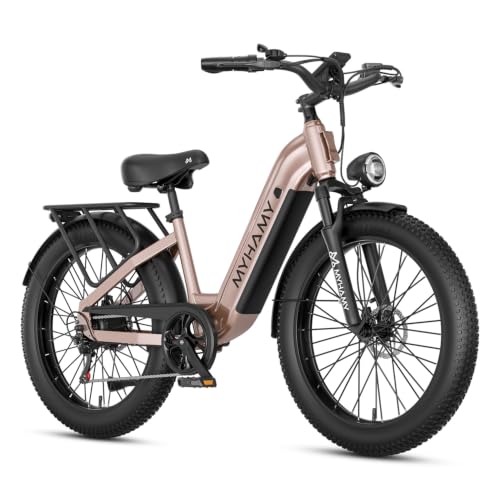 MYHAMY 24" Fat Tire Step-Thru E-Bike