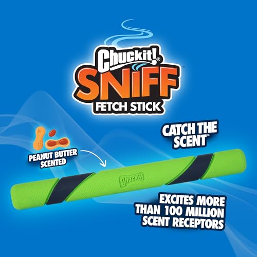 Image of Chuckit! Peanut Butter Sniff Fetch Stick Dog Toy, 12in Length, 1 Pack