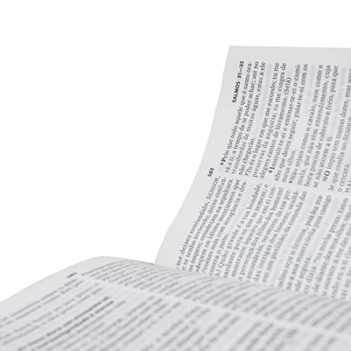 Bíblia Sagrada Letra maior com Harpa Cristã - Capa Ilustrada: Almeida Revista e Corrigida (ARC)