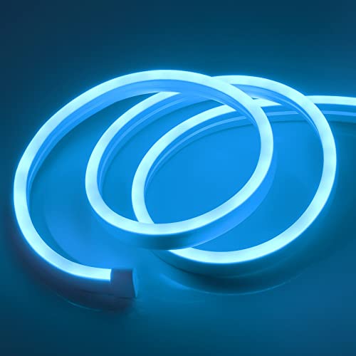 Depulat Neon Rope Lights,16.4ft/5m,DC 600 LEDs Neon Flex,12V Strip Lights,Waterproof Lights Strips for Bedroom, Indoor or Outdoor Decor.(Adapter not included/Ice Blue)