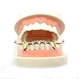 TOPGRILLZ Custom Fit 18k Gold Plated Hip Hop Bottom Fang Grillz Caps for Your Teeth