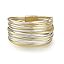 String Leather(GoldSilver)