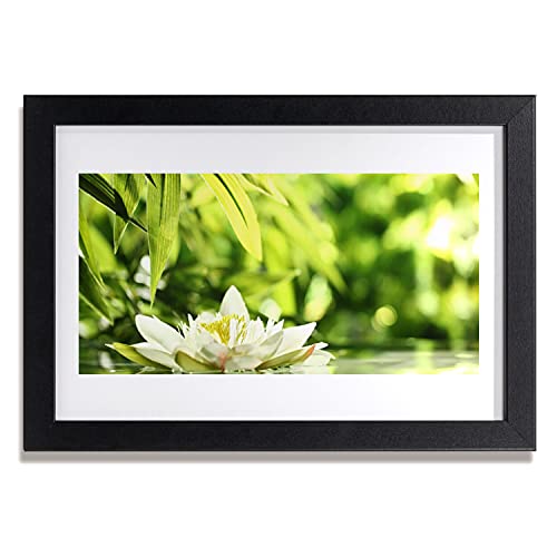 Affiche Encadrée Feuilles de fleurs 30x20 cm pour Décoration Murale Salon et Chambre