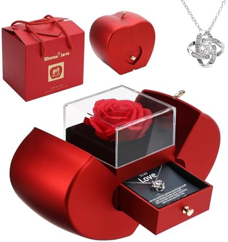 Rose éternelle Avec Collier Cœur En Argent 925 – Un Cadeau Romantique Et Intemporel