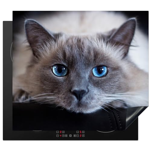 KitchenYeah© Protege Couvre Plaque De Cuisson Décoration Cuisine Tapis Protection Protecteur Induction 60x52 cm Chat - Gris - Gros plan