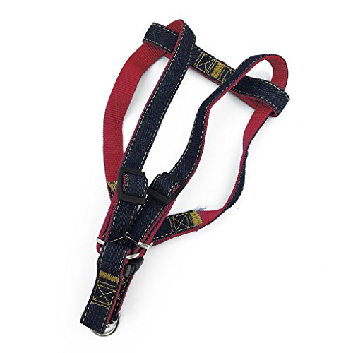 Set di imbracatura + collare + guinzaglio in denim...